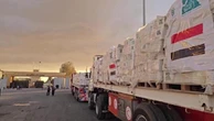 Gaza, i camion carichi di aiuti umanitari pronti per entrare nella Striscia attraverso Rafah
