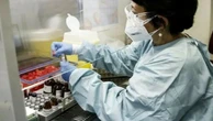 Positivi al Covid per mesi: (forse) i geni del virus si sono integrati al nostro DNA