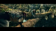 "Heart of the beast" Brad Pitt e il cane Odino nel profondo selvaggio - trailer