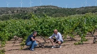 Fantini, nuova acquisizione in Spagna: rilevata la cantina ex Venta La Vega