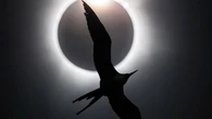 Ad ali spiegate nel cuore dell’eclissi. Le più belle foto di uccelli esposte al Forte di Bard