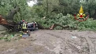 Basilicata, quercia spezzata dal maltempo centra un'auto: un morto e tre feriti gravi