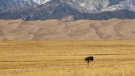 Il caldo non si fermerà qui. Nuovi record di temperatura previsti nei prossimi cinque anni