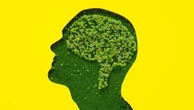 Gli ottimisti? Hanno tutti lo stesso schema cerebrale
