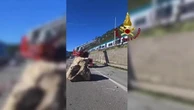 Masso cade sui binari e sulla Statale a Lecco: l'evacuazione dei passeggeri con l'autoscala