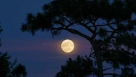 Superluna del 7 ottobre 2025: la Luna sfiora la Terra, dove vederla?