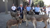 Kosovo, la protesta degli asini dopo la mancata elezione del presidente del Parlamento