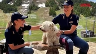 "Se non ti porto, non parto": lo spot della Polizia contro l'abbandono degli animali