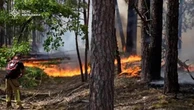 Ucraina: incendio nei boschi nella zona di Chernobyl, l'intervento dei Vigili del Fuoco