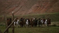 "Django" il cult di Sergio Corbucci con Franco Nero torna in sala restaurato - trailer
