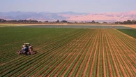 Produzione agricola e ittica +14% in dieci anni