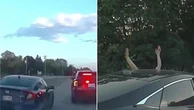 Illinois, inseguimento da film della polizia: prima l'auto viene accerchiata in corsa poi l'arresto