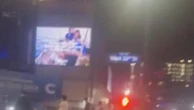Timothée Chalamet nba knicks esultanza tifosi auto