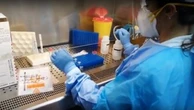 Covid. Così ci proteggono gli Omega 3