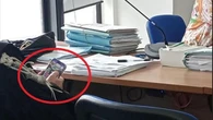 “Quel pm gioca a Candy Crush in udienza”. Su Facebook, la foto postata da un avvocato fa discutere