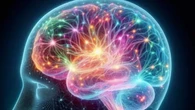 Il cervello si rigenera anche in tarda età. Scoperto come nascono i nuovi neuroni