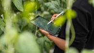 Agroalimentare in Italia: pesa il 30% sul Pil, ma attira pochi capitali
