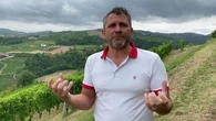 In vigna con Natale Simonetta: "Il mio Moscato speciale, nato per mia madre"