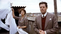 Pride: sette film sull’orgoglio di essere se stessi