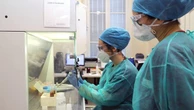 Coronavirus, il bollettino di oggi 24 giugno in Lombardia: 4 morti e 155 nuovi casi. Il tasso di positività in calo allo 0,4%