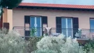 Bordighera,“foto e video di Beatrice non sono stati trovati sul cellulare di Iannuzzi, ma di Aiello”