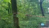 Donna scomparsa a Milano, trovato corpo nel parco a Cinisello Balsamo: il video dal laghetto