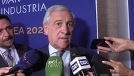 Ius Scholae, Tajani: "Pronti al dialogo con tutti ma abbiamo la nostra proposta"