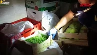 Tortona, sequestrati 382 chili di cibo in cattivo stato di conservazione: le immagini del blitz
