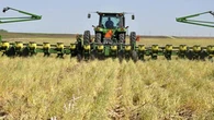Treviso, agricoltore muore per il caldo a Istrana. Oggi entrata in vigore l’ordinanza anti-calore