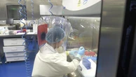 Naturale o creato in laboratorio: il mistero delle origini del Covid