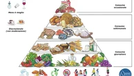 Vino: meno è meglio. Proteine, più sane quelle vegetali. La nuova piramide mediterranea