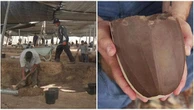 Israele, riaffiora un’industria dell’Età del Bronzo: lame in selce di 5.500 anni fa