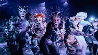 Cosa fare a Milano oggi 27 gennaio: “Cats” al TAM e visite gratuite al Memoriale della Shoah