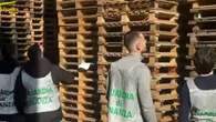 Pallets contraffatti e venduti online, sequestrati 3.600 bancali di legno senza certificazioni