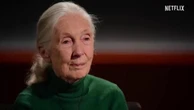 A Message From Dr. Jane Goodall - su Netflix l'intervista postuma all'etologa amica degli scimpanzé