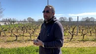 In vigna con Pasquale Petrera: "Gioia del Colle e il Primitivo, che ha rischiato di scomparire"