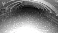 Medio Oriente, l'esercito israeliano sigilla con il cemento un tunnel di Hamas: le immagini da Rafah