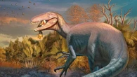 Scoperto il dinosauro più feroce, era peggio del T-Rex: morto con una zampa di coccodrillo in bocca