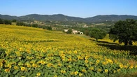 Viaggio nelle location toscane de “Il Ciclone”, film che ha conquistato l’Italia