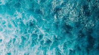 Oceani, l'Italia aderisce all'Alleanza G7 per la gestione delle aree marine protette