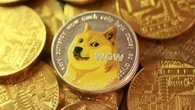 La Triestina salvata da Dogecoin, la criptovaluta nata per scherzo che piace a Musk