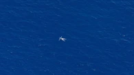 Migranti, Sea Watch: “Avvistati cadaveri al largo delle coste libiche”