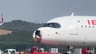 Madrid, bird strike: aereo colpito da uccelli costretto all'atterraggio di emergenza