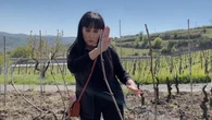 In vigna con Elena Fucci: "La mia storia, con il cuore nell’Aglianico del Vulture"