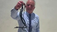 Robert Kennedy Jr afferra due serpenti a mani nude: morso davanti alla moglie