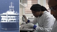 Hantavirus: nel laboratorio senegalese che per primo ha decifrato l'epidemia a bordo della "Hondius"