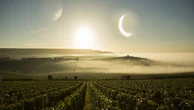 "Il mio Dom Pérignon a prova di climate change"
