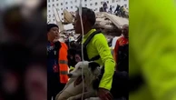 Venezuela: Tsunami, il border collie che ha salvato decine di persone intrappolate sotto le macerie