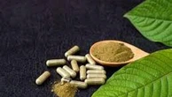 Nuove droghe, il Kratom dilaga negli Usa e minaccia l'Italia