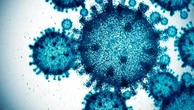 Influenza, i primi dati: più di 420 mila casi in una settimana
